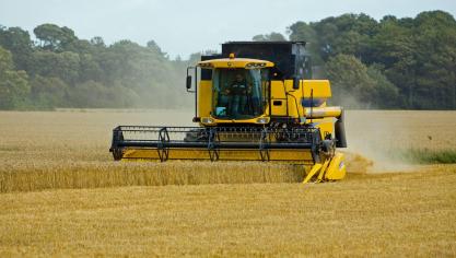 De wereldwijde landbouwproductie groeit de komende jaren wat sneller dan de vraag, met druk op prijzen als gevolg.