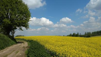 IMG_20190429_131555913_TOP