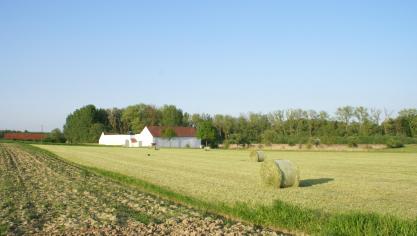 In 2018 hebben 531 bedrijven hectaresteun biologische landbouw ontvangen.