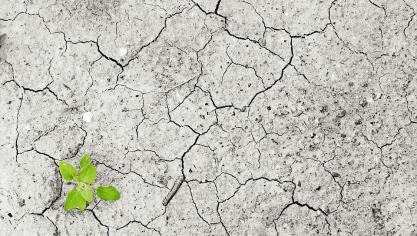 Ons land moet tegen het einde van het jaar meer ambitieuze plannen indienen.