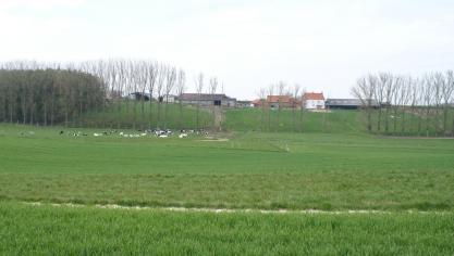 Tussen 1980 en 2018 verdween 68% van de landbouwbedrijven in ons land en ging meer dan 62% van de banen verloren.