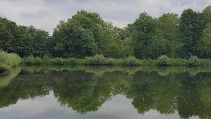 Om het milieu te sparen en om te voldoen aan de Europese Kaderrichtlijn Water moeten de concentraties aan gewasbeschermingsmiddelen in het oppervlaktewater worden verminderd.