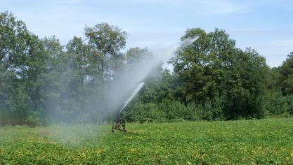Eén van de belangrijkste ingrepen in versie 3.0 is de grondige herwerking van de eisen voor het water dat gebruikt wordt in voor-oogst en na-oogst activiteiten.