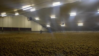 Het VLIF actualiseerde zijn lijst van investeringscodes en speelt zo in op de investeringsnoden die er zijn voor de bouw van een duurzame bewaarloods voor lange bewaring.