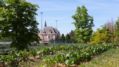 De stadsboerderij van Peas & Love staan voornamelijk op daken. Op de foto de enige locatie op de grond, die ook als hoofdkwartier dient.