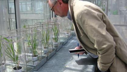 De weg naar betere planten wordt aanzienlijk vereenvoudigd door het gebruik van nieuwe veredelingstechnieken, aldus wetenschappers.