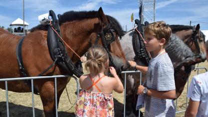 De nabijheid van zoveel dieren maakt Libramont speciaal ten opzichte van andere beurzen.