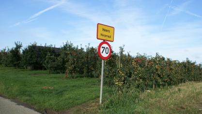 Fruit (appel en peer) leed zeer grote schade door zonnebrand op 25 juli.