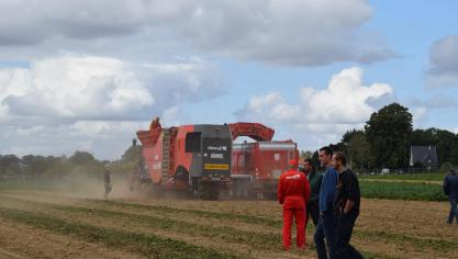 Het rooien was een erg stoffig gebeuren.