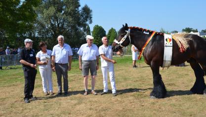 Dominique Van Riet met haar kampioenmerrie Collet van 't Sparrenhof bij de prijsuitreiking.