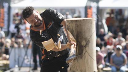 Het houthakkampioenschap bestaat uit 6 zaag- en bijldisciplines.