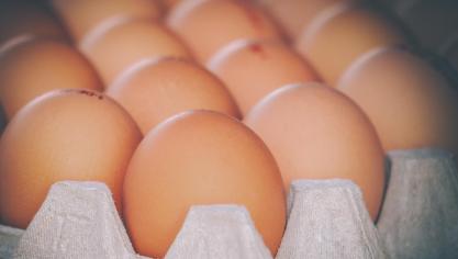 De export van eieren naar Azië neemt sterk toe.