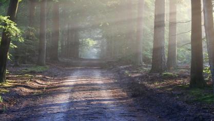 Natuurpunt stelt tevreden vast dat er meer natuur bijkomt, dat de landbouw verduurzaamt, en dat de ambitie om de open ruimte te behouden overeind blijft.