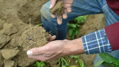 Verschillende partners werken mee aan een onderzoek rond bodemverdichting.