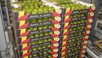 De werkgroep gaat een serie uitdagingen voor de sector oppakken, zoals een onbalans in de keten.