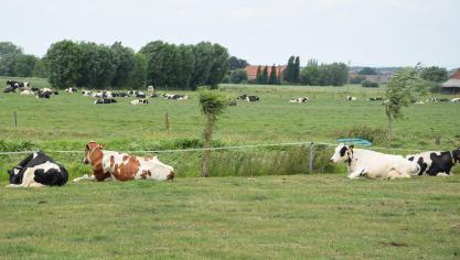 De campagne van BE Vegan heeft de toorn gewekt van de boerenorganisaties.