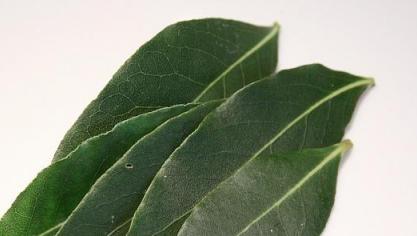 De norm van kankerverwekkende stoffen is overschreden.