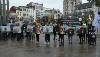 Animal Rights is enkele weken geleden een petitie gestart voor een verbod op het invoeren van jachttrofeeën.