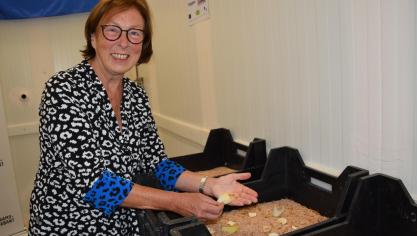 Alternatieven vinden voor de reststromen van witloof is ontzettend belangrijk voor onze telers”, benadrukt Monique Swinnen, gedeputeerde voor Landbouw in Vlaams-Brabant.  De kweek van meelwormen biedt alvast mogelijkheden.»