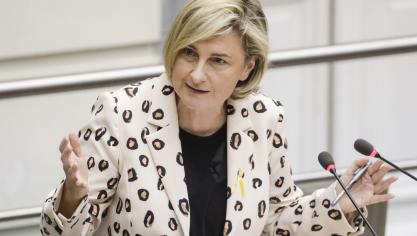 Crevits benadrukt dat een harde Brexit de landbouw pijn kan doen, maar dat de Vlaamse regering maatregelen treft om de pijn te verzachten.