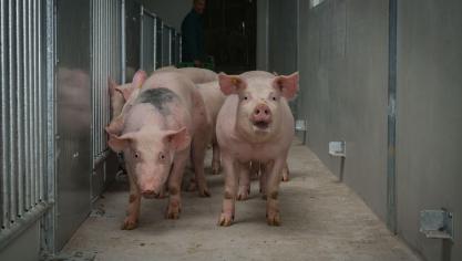 Ecolab ziet in de veehouderij een belangrijke groeimarkt en koopt daarom CID Lines.