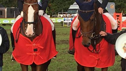 Dressuurkampioen Stijn Rombouts met Lars van de Hoenderheide en (rechts) jumpingkampioen Jeroen Geerts met Japrilli van Hasselt. Allebei van RV-Sint-Lenaarts.