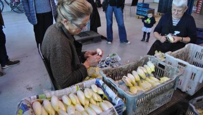 De witlooftelers die leandenken toepasten zijn alle actief in de provincie Vlaams-Brabant.