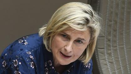 Er is jammer genoeg nog een sterk taboe rond mentale klachten in deze sector , zegt Vlaams landbouwminister Hilde Crevits.