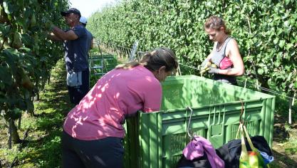 De Europese Commissie trok in de zomer van 2018 naar het Europees Hof van Justitie met een klacht tegen België. De Commissie trekt nu haar klacht in ons land de richtlijn rond seizoensarbeid alsnog heeft omgezet in nationaal recht.