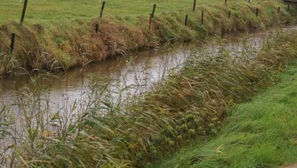 Opnieuw moet aan de oude strenge toets aan het esthetisch criterium worden voldaan.