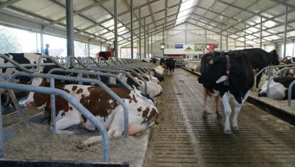 Deze bemonstering kan via MPR-monstername door CRV of door een monstername van bloed of melk door de dierenarts.