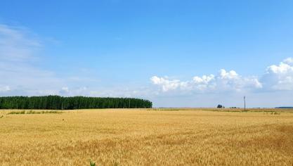 The New York Times publiceerde een artikel dat beschrijft hoe politici in landen als Hongarije en Tsjechië een deel van de landbouwfondsen misbruiken voor eigen gewin of dat van bevriende grootgrondbezitters.