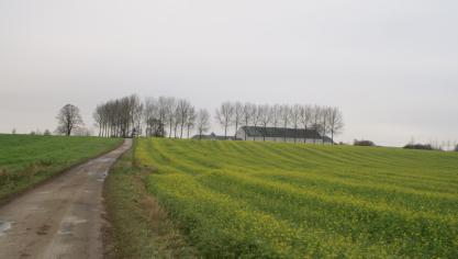 De omgevingsvergunning wordt dus in principe voor onbepaalde duur toegekend,  in tegenstelling tot de vroegere milieuvergunning.
