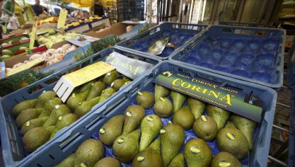 De Conference-peer gaat de hele wereld over. Sinds het wegvallen van de Russische markt, legt BelOrta de nadruk op meer consumptie op de eigen markt en het uitbouwen van export naar andere derde landen zoals China.