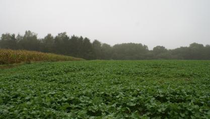 Veel boeren hebben natuur als buur, aldus De Cuyper. Gezond boerenverstand  in de ambtenarij is dan nodig, betoogt hij, maar dit blijft te vaak uit.