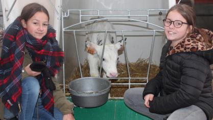 In de voormiddag staken de leerlingen een handje toe op ’t Hof van Gruuthuuse, het gespecialiseerde melkveebedrijf van Koen De Brabander en Christa Kerkhove.