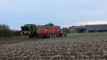 Voor 2019 wordt de totale productie consumptieaardappelen voor ons land geraamd op 4,4 miljoen ton aardappelen.