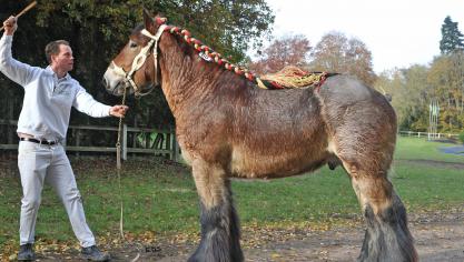 Milan van het Rijkelhof van Nico en Maxim Smeers kreeg de meeste punten.