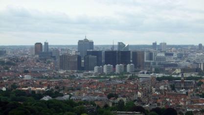 Brussel moet door de ingreep rundloos verder.