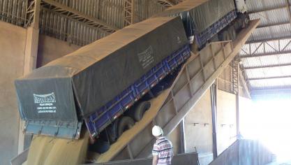 Brazilië is de grootste exporteur van soja wereldwijd. De EU en China zijn haar grootste afnemers.