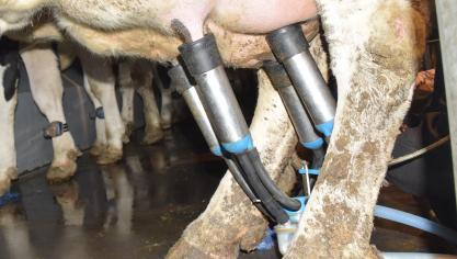 De melkveehouders van Arla behoren vandaag volgens het bedrijf al tot de meest  klimaatvriendelijke ter wereld.