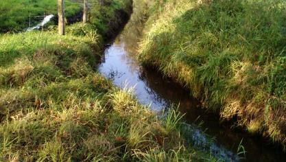 Map 6 moet helpen de waterkwaliteit in Vlaanderen te verbeteren.