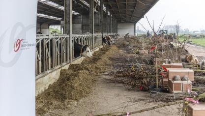 Oost-Vlaamse land- en tuinbouwers en imkers kunnen via groepsaankoop streekeigen bomen, struiken, klimplanten en fruitbomen bestellen aan een voordelige prijs.
