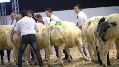 Dankzij de steun kunnen de producenten zich groeperen en hun marktpositie versterken door kennis en gegevens uit te wisselen, hun aanbod te concentreren of gezamenlijke aankopen te doen. Ze staan bovendien sterker in de markt om het inkomen van de producenten verbeteren.