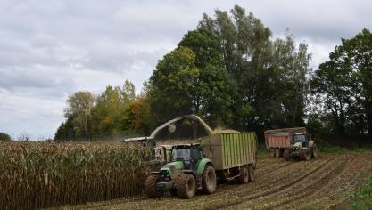 Waar er voldoende neerslag is gevallen, waren de opbrengsten meestal behoorlijk.