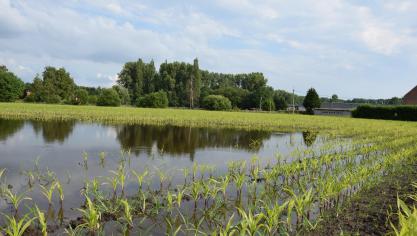 De weersverzekering helpt boeren de risico’s van extreem weer te verminderen.