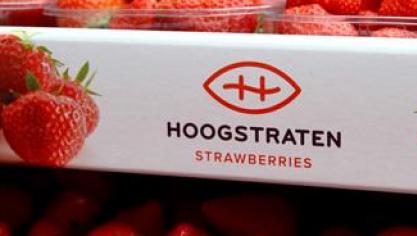 De Coöperatie Hoogstraten heeft een nieuwe directeur.