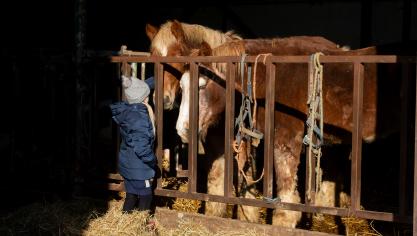 belgaimage-158392991-full