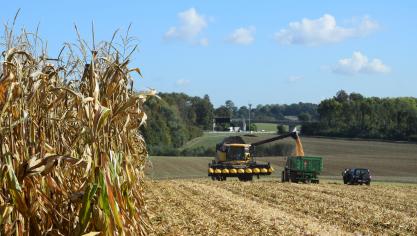 Een hoge korrelopbrengst is voor elk korrelmaïsras uiteraard van groot belang. De financiële impact van de droogkosten moeten zo veel mogelijk beperkt blijven.