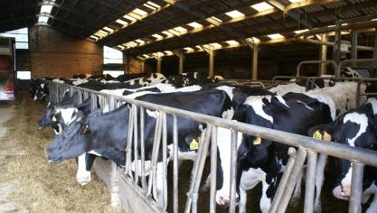 In de VS is de consumptie van traditionele zuivel de afgelopen decennia sterk gedaald.